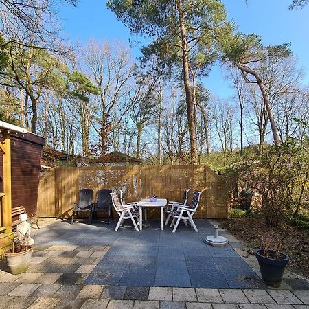 Chalet Boslust Vila IJhorst Exterior foto