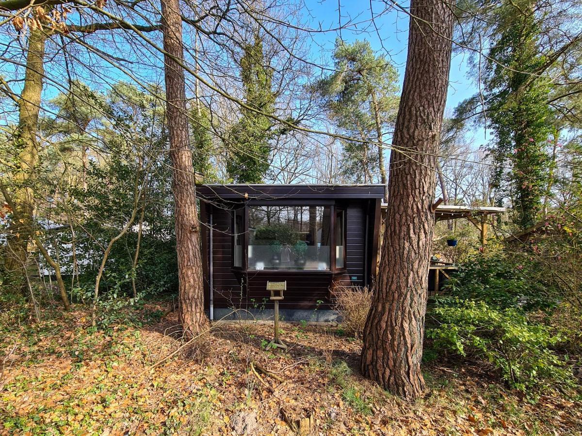 Chalet Boslust Vila IJhorst Exterior foto